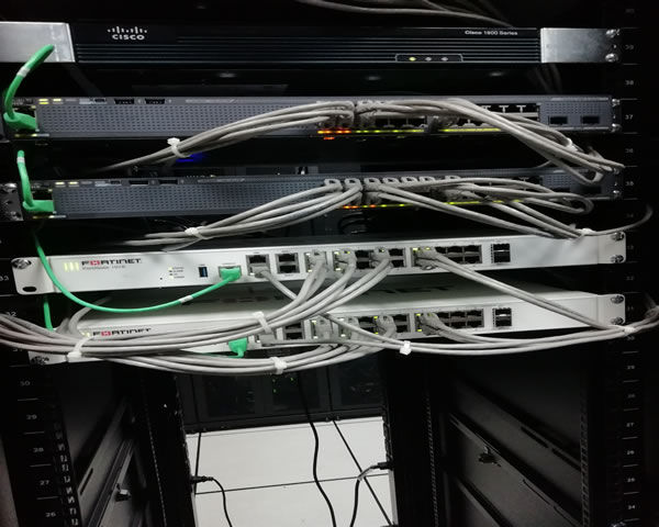 Analysis Of Uses And Industry Applications Of Hong Kong’s Native Ip